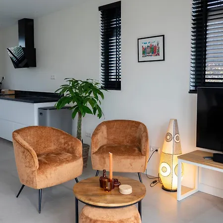 8 Persons Waterfront Villa Roelofarendsveen