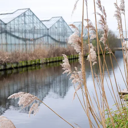 Villa 8 Persons Waterfront Tulpenacker *